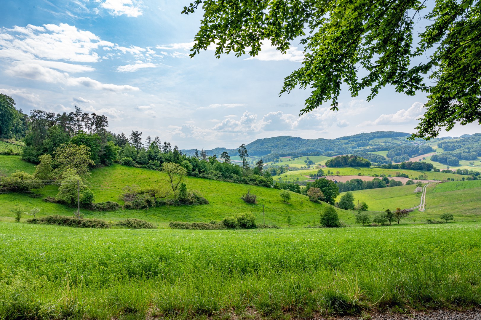 the odenwald in germany is pure nature